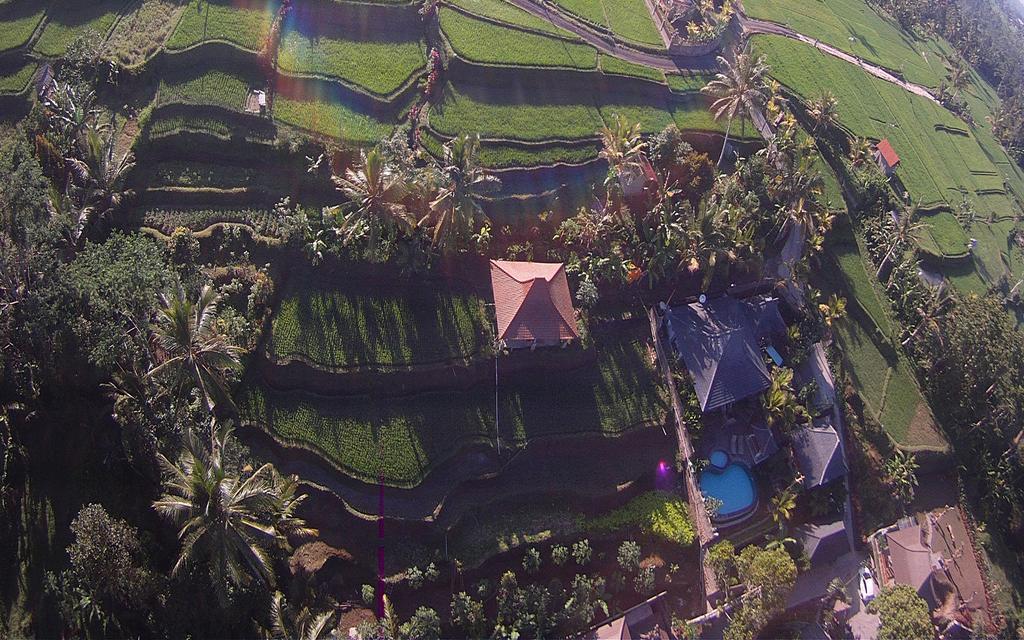 Pondok Sebatu Villa Tegallalang  Esterno foto